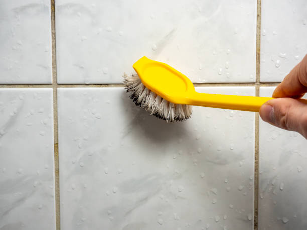 Best Mold Testing  in Arthurtown, SC