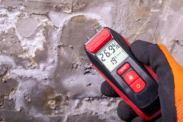 Best Residential Mold Removal  in Arthurtown, SC